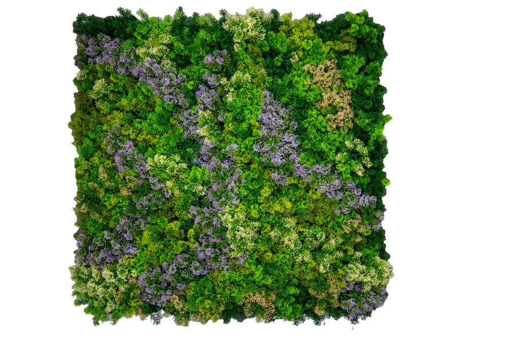 Moss Garden - Hojas grandes - Instagreen