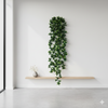 Colgante Ficus