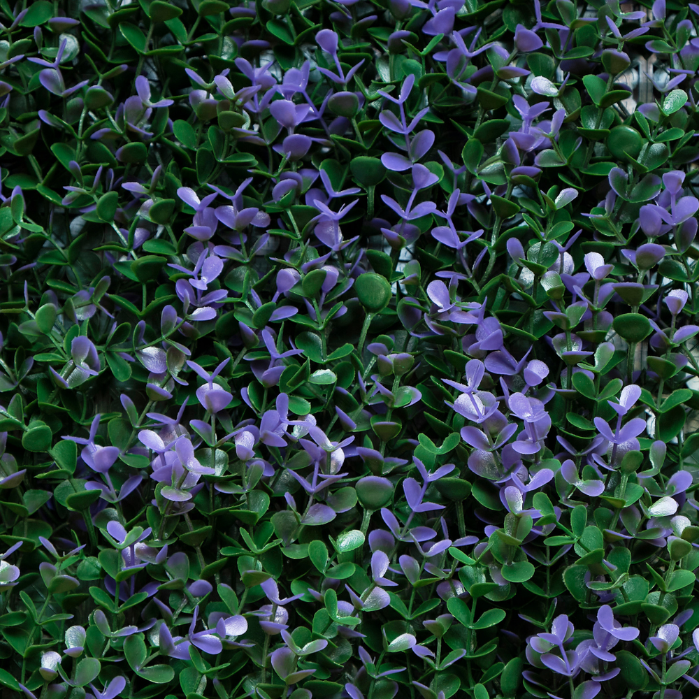 Hoja De Té Morada