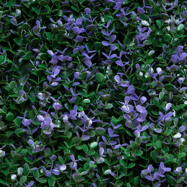 Hoja De Té Morada