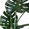 Monstera 120 Cm