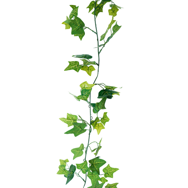 Colgante Hiedra